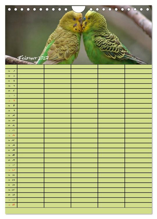 Produktbild: Der Wellensittich-Familienplaner (Wandkalender 2027 DIN A4 hoch), CALVENDO Monatskalender
