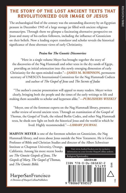 Produktbild: The Gnostic Discoveries