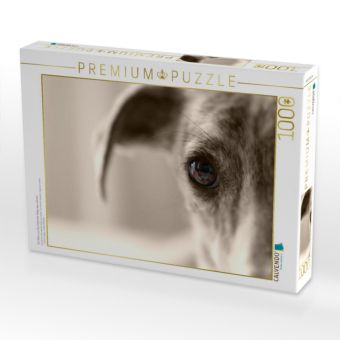 Produktbild: CALVENDO Puzzle Ein Motiv aus dem Kalender Galgo eye-catcher | 1000 Teile Lege-Gr&ouml;&szlig;e 64x48cm Foto-Puzzle f&uuml;r gl&uuml;ckliche Stunden