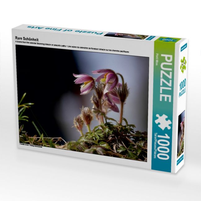 Produktbild: CALVENDO Puzzle Rare Sch&ouml;nheit | 1000 Teile Lege-Gr&ouml;&szlig;e 64x48cm Foto-Puzzle f&uuml;r gl&uuml;ckliche Stunden