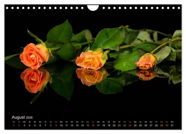 Produktbild: Ver&auml;ndertes (Wandkalender 2026 DIN A4 quer), CALVENDO Monatskalender