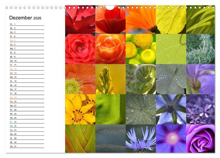 Produktbild: Farbenkaleidoskop (Wandkalender 2026 DIN A3 quer), CALVENDO Monatskalender