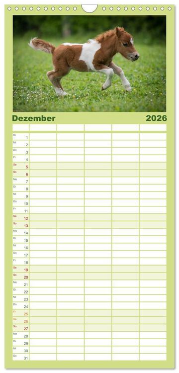 Produktbild: Familienplaner 2026 - Ponys. Herzensbrecher mit Grips mit 5 Spalten (Wandkalender, 21 x 45 cm) CALVENDO
