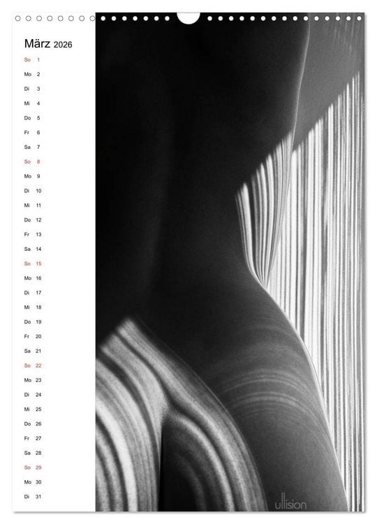 Produktbild: Akt abstrakt (Wandkalender 2026 DIN A3 hoch), CALVENDO Monatskalender