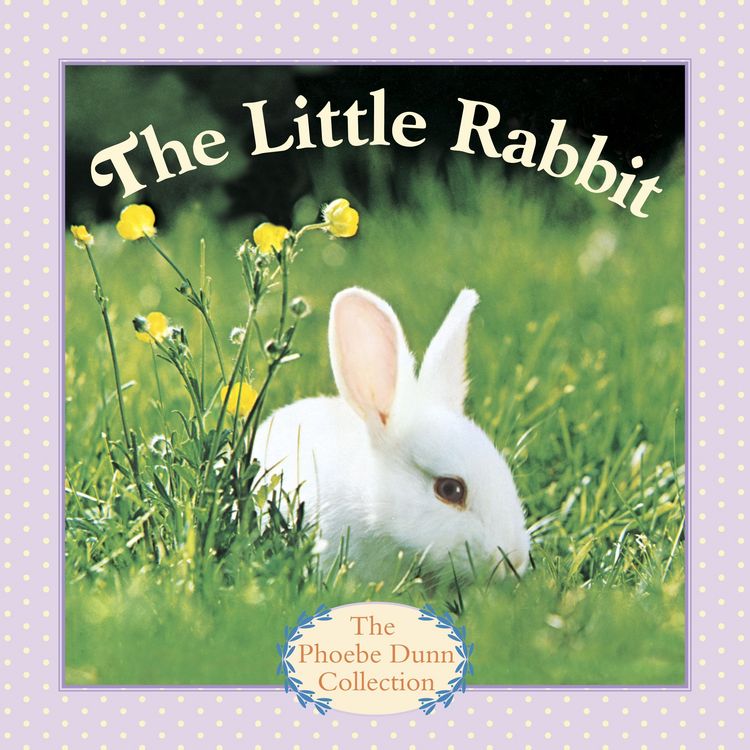 Produktbild: The Little Rabbit