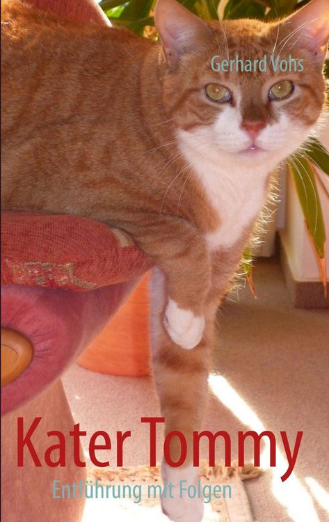 Produktbild: Kater Tommy