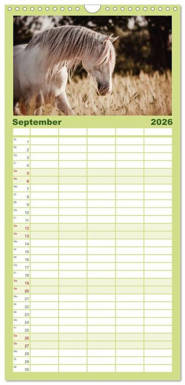 Produktbild: Familienplaner 2026 - Die Faszinierende Welt der Pferde mit 5 Spalten (Wandkalender, 21 x 45 cm) CALVENDO
