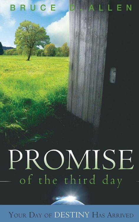 Produktbild: The Promise of the Third Day