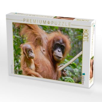 Produktbild: CALVENDO Puzzle Orang Utan Mama mit Baby | 1000 Teile Lege-Gr&ouml;&szlig;e 64x48cm Foto-Puzzle f&uuml;r gl&uuml;ckliche Stunden