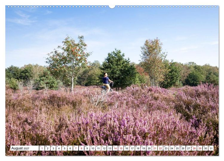 Produktbild: Radland Deutschland - L&uuml;neburger Heide (hochwertiger Premium Wandkalender 2027 DIN A2 quer), Kunstdruck in Hochglanz