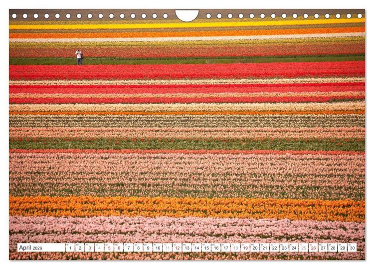 Produktbild: Die ganze Vielfalt der Niederlande (Wandkalender 2026 DIN A4 quer), CALVENDO Monatskalender
