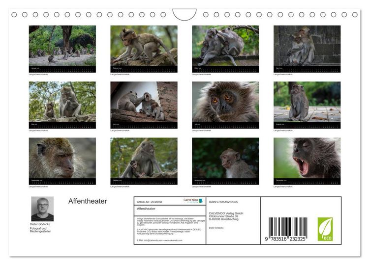 Produktbild: Affentheater (Wandkalender 2026 DIN A4 quer), CALVENDO Monatskalender
