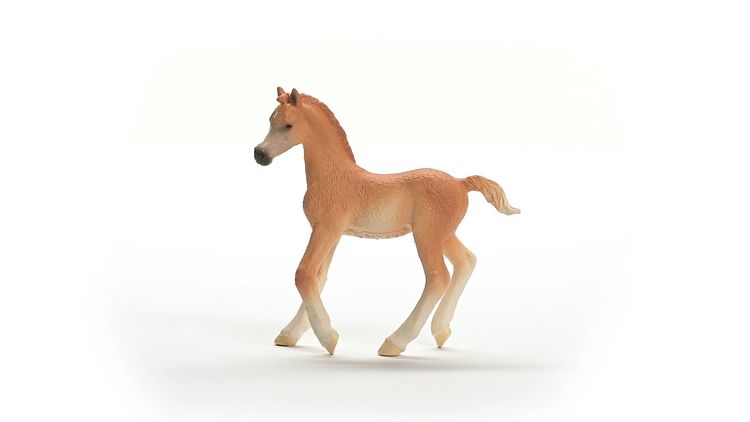 Produktbild: schleich&reg; 13984 Araber Fohlen