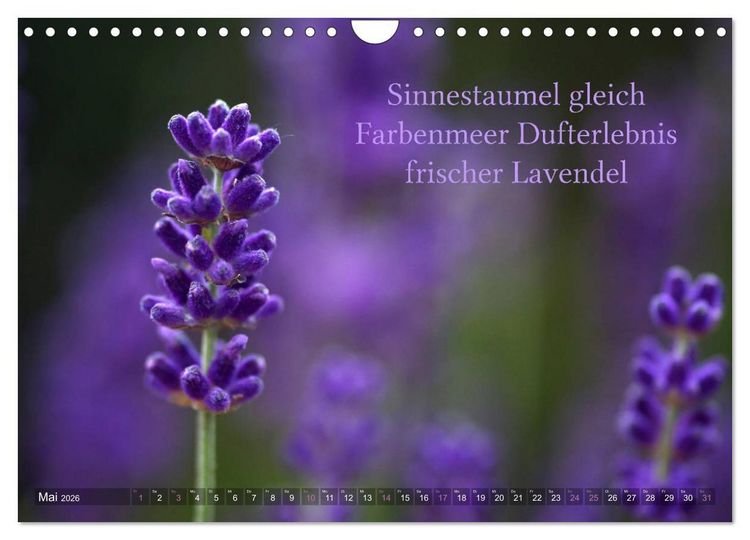 Produktbild: Haiku - Gedichte in 17 Silben (Wandkalender 2026 DIN A4 quer), CALVENDO Monatskalender