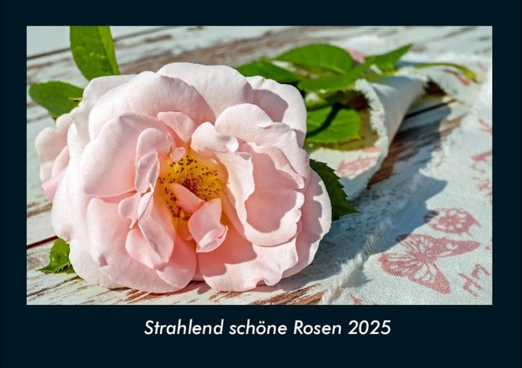 Produktbild: Strahlend sch&ouml;ne Rosen 2025 Fotokalender DIN A4