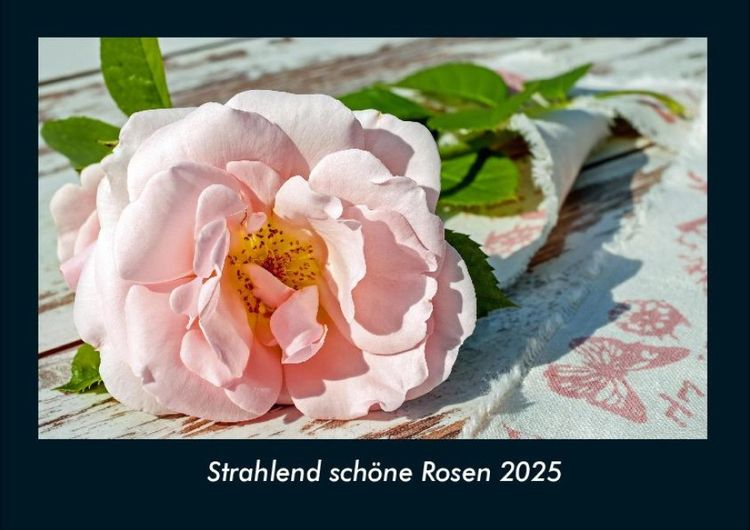 Produktbild: Strahlend schöne Rosen 2025 Fotokalender DIN A4