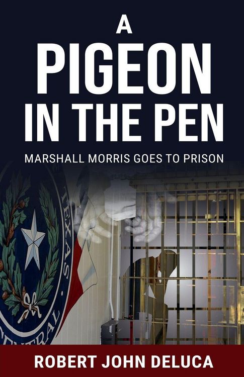 Produktbild: A Pigeon in the Pen