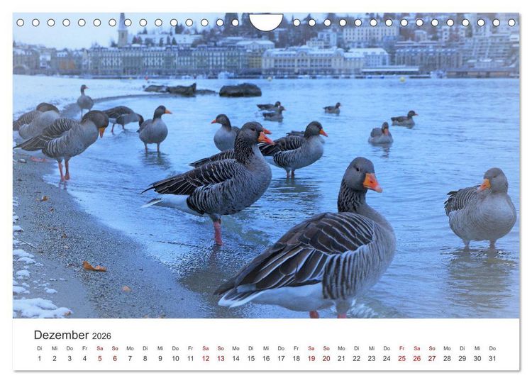 Produktbild: Luzern, die Stadt im Zentrum der Schweiz (Wandkalender 2026 DIN A4 quer), CALVENDO Monatskalender