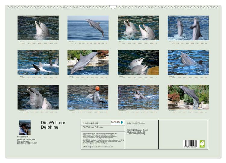Produktbild: Die Welt der Delphine (Wandkalender 2026 DIN A2 quer), CALVENDO Monatskalender