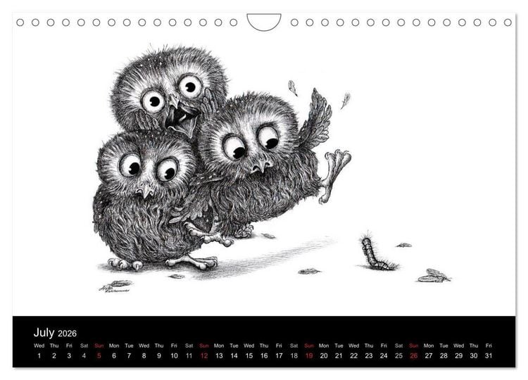 Produktbild: owls & friends 2026 (Wall Calendar 2026 DIN A4 landscape), CALVENDO 12 Month Wall Calendar