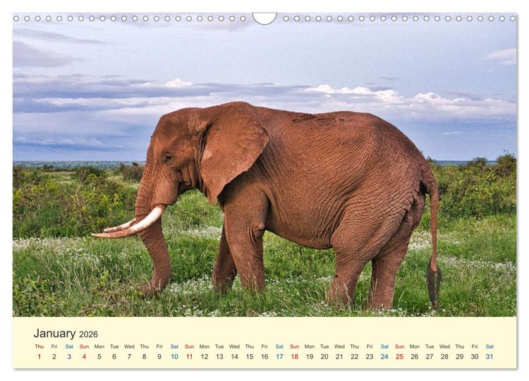 Produktbild: Wonderful Kenya (Wall Calendar 2026 DIN A3 landscape), CALVENDO 12 Month Wall Calendar