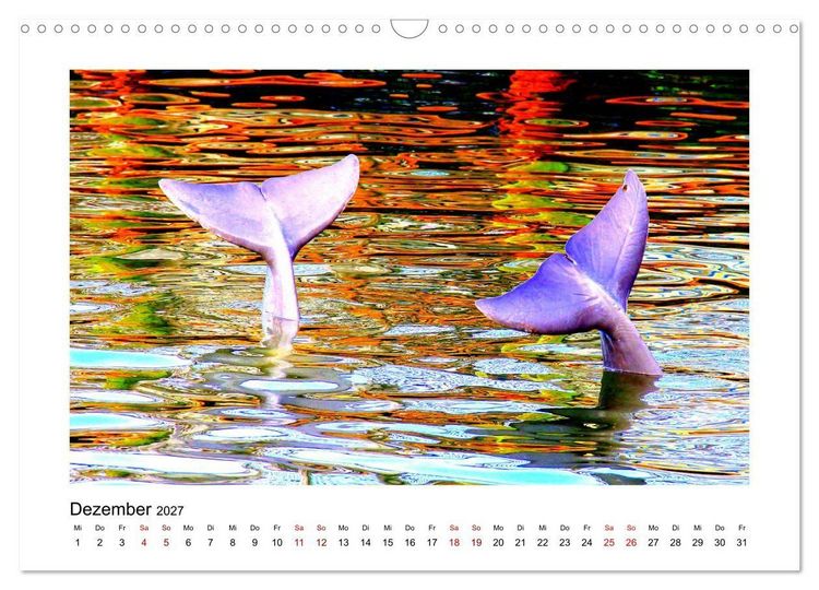 Produktbild: Florida 2027 abwechslungsreich und von der Sonne verw&ouml;hnt (Wandkalender 2027 DIN A3 quer), CALVENDO Monatskalender