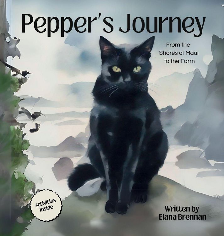 Produktbild: Pepper's Journey