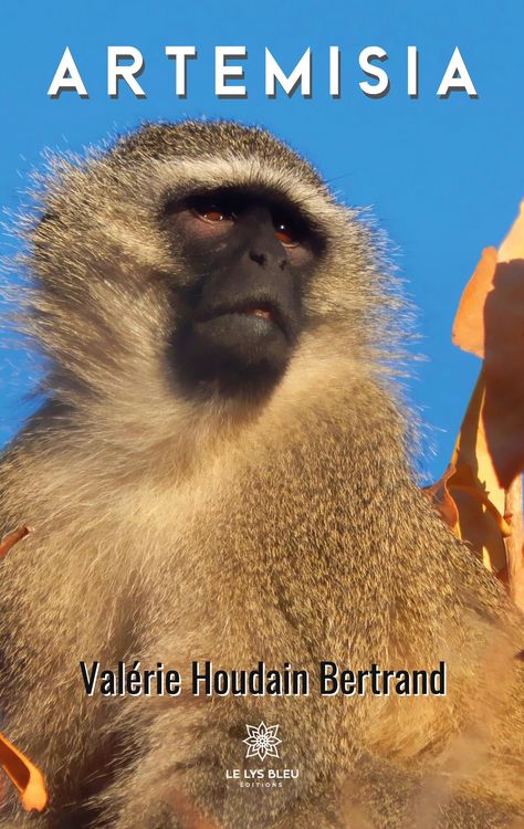Produktbild: Val&eacute;rie Houdain Bertrand: Artemisia