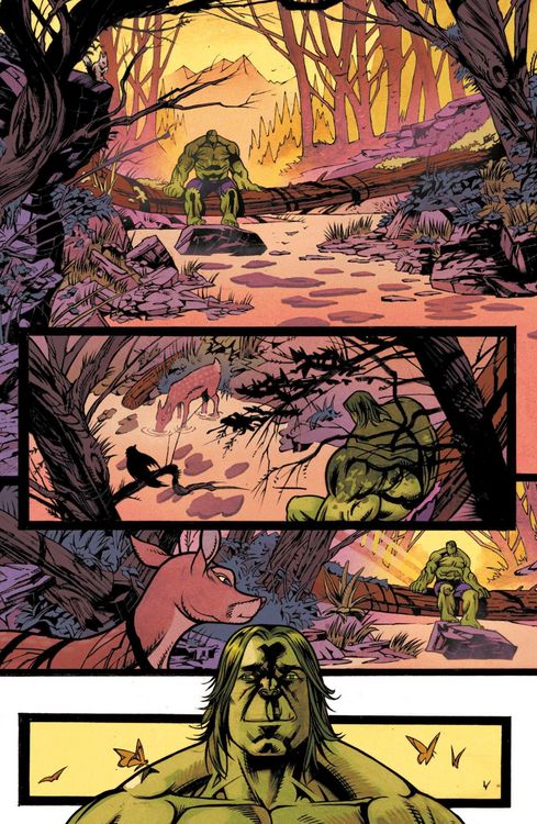 Produktbild: Der unglaubliche Hulk