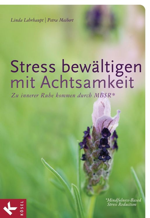 Produktbild: Stress bewältigen mit Achtsamkeit