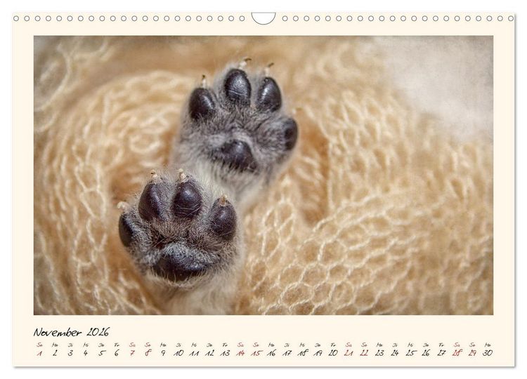 Produktbild: Golden Retriever... Herzenshunde (Wandkalender 2026 DIN A3 quer), CALVENDO Monatskalender