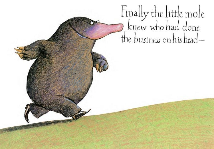 Produktbild: STORY OF LITTLE MOLE WHO PB