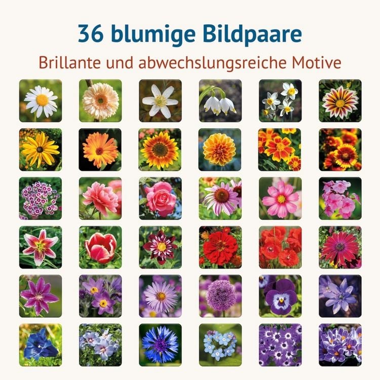 Produktbild: Blumig - Memospiel