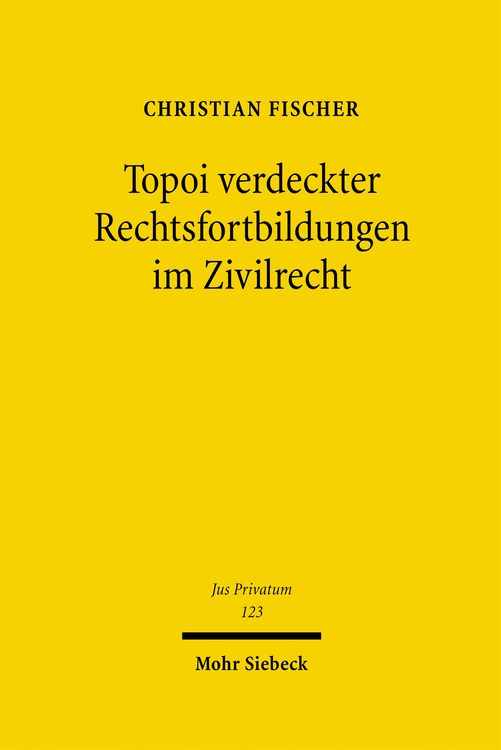 Produktbild: Topoi verdeckter Rechtsfortbildungen im Zivilrecht