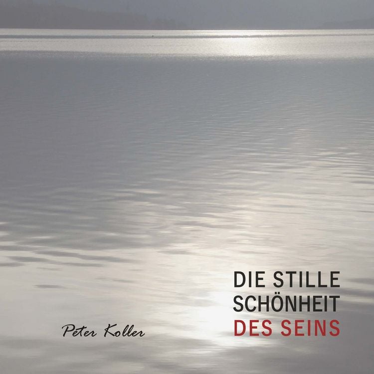 Produktbild: Die Stille Sch&ouml;nheit des Seins