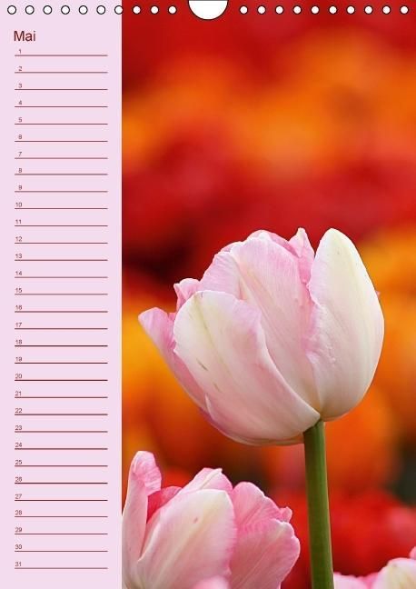 Produktbild: Der Geburtstagskalender (Wandkalender immerw&auml;hrend DIN A4 hoch)