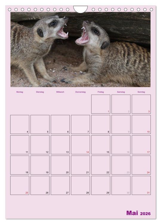 Produktbild: Erdm&auml;nnchen / Terminplaner (Wandkalender 2026 DIN A4 hoch), CALVENDO Monatskalender