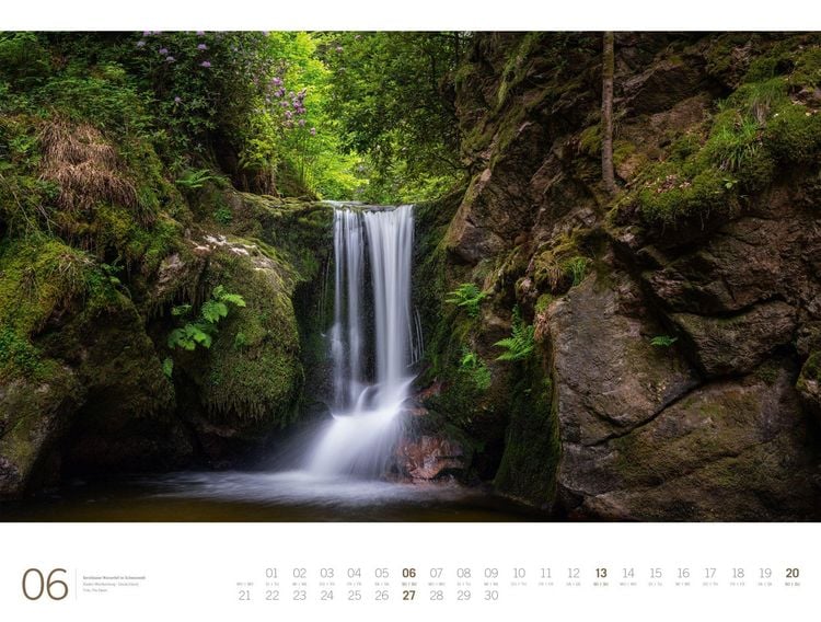 Produktbild: Wald Gallery Kalender 2027