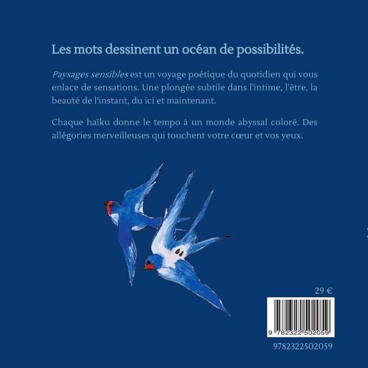 Produktbild: Paysages sensibles