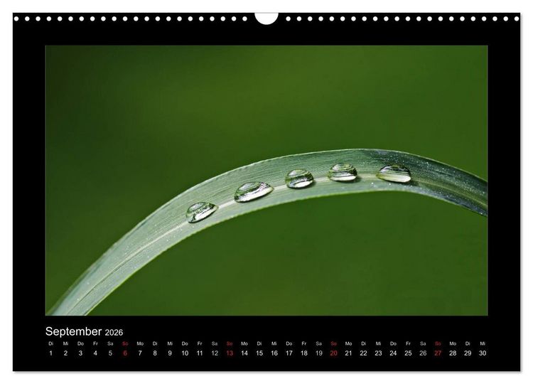 Produktbild: Meine kleine gr&uuml;ne Wassertropfen Welt (Wandkalender 2026 DIN A3 quer), CALVENDO Monatskalender