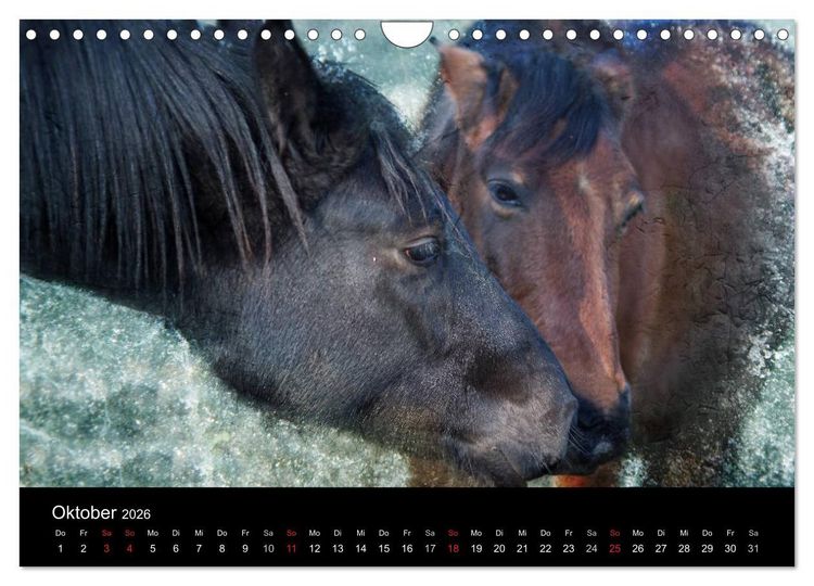 Produktbild: Pferde zum Tr&auml;umen (Wandkalender 2026 DIN A4 quer), CALVENDO Monatskalender