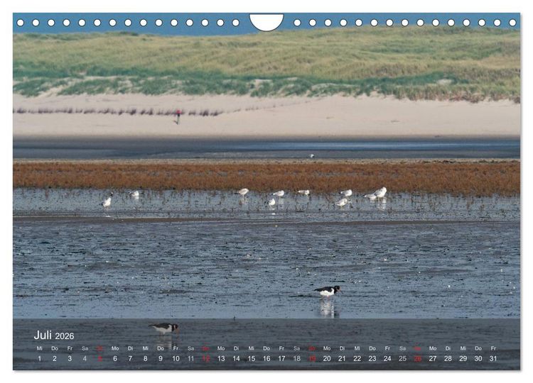 Produktbild: Texel - Meine Insel (Wandkalender 2026 DIN A4 quer), CALVENDO Monatskalender