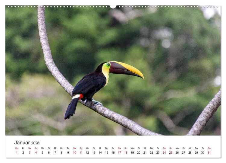 Produktbild: Costa Rica - das Naturparadies (hochwertiger Premium Wandkalender 2026 DIN A2 quer), Kunstdruck in Hochglanz