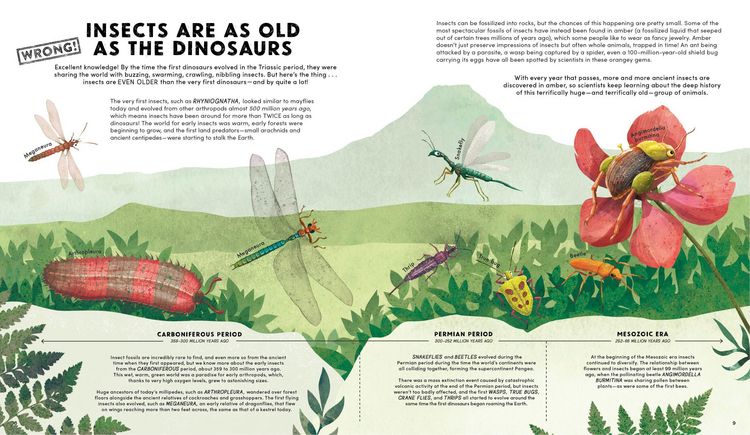 Produktbild: Everything You Know about Bugs (and Other Tiny Creatures) Is Wrong!
