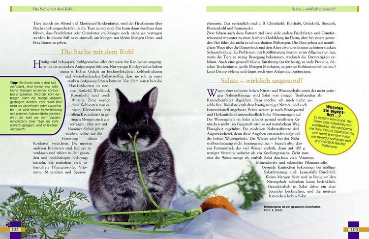 Produktbild: Leben mit Kaninchen