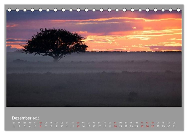 Produktbild: &Ouml;LAND - Besuch im etwas anderen Schweden 2026 (Tischkalender 2026 DIN A5 quer), CALVENDO Monatskalender