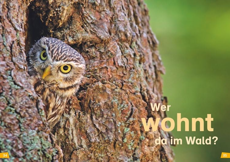 Produktbild: WAS IST WAS Erstes Lesen Band 6. Wald
