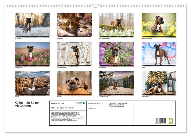 Produktbild: K&auml;the - ein Boxer mit Charme (Wandkalender 2026 DIN A2 quer), CALVENDO Monatskalender