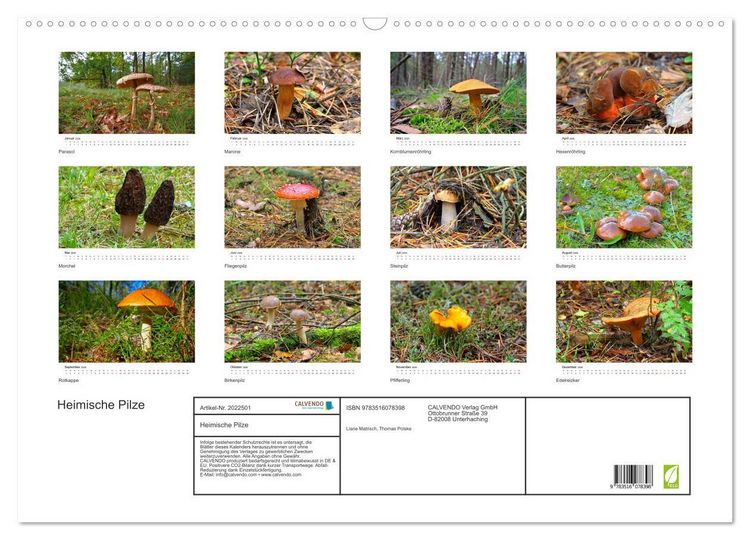 Produktbild: Heimische Pilze (Wandkalender 2026 DIN A2 quer), CALVENDO Monatskalender