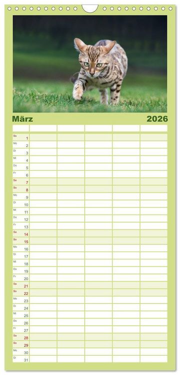 Produktbild: Familienplaner 2026 - Bengalen Outdoor und Action mit 5 Spalten (Wandkalender, 21 x 45 cm) CALVENDO